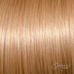 Light Ash Blonde/Medium Blonde (#22) Human Hair 10 Piece Clip-ins - ExtenCity Hair 